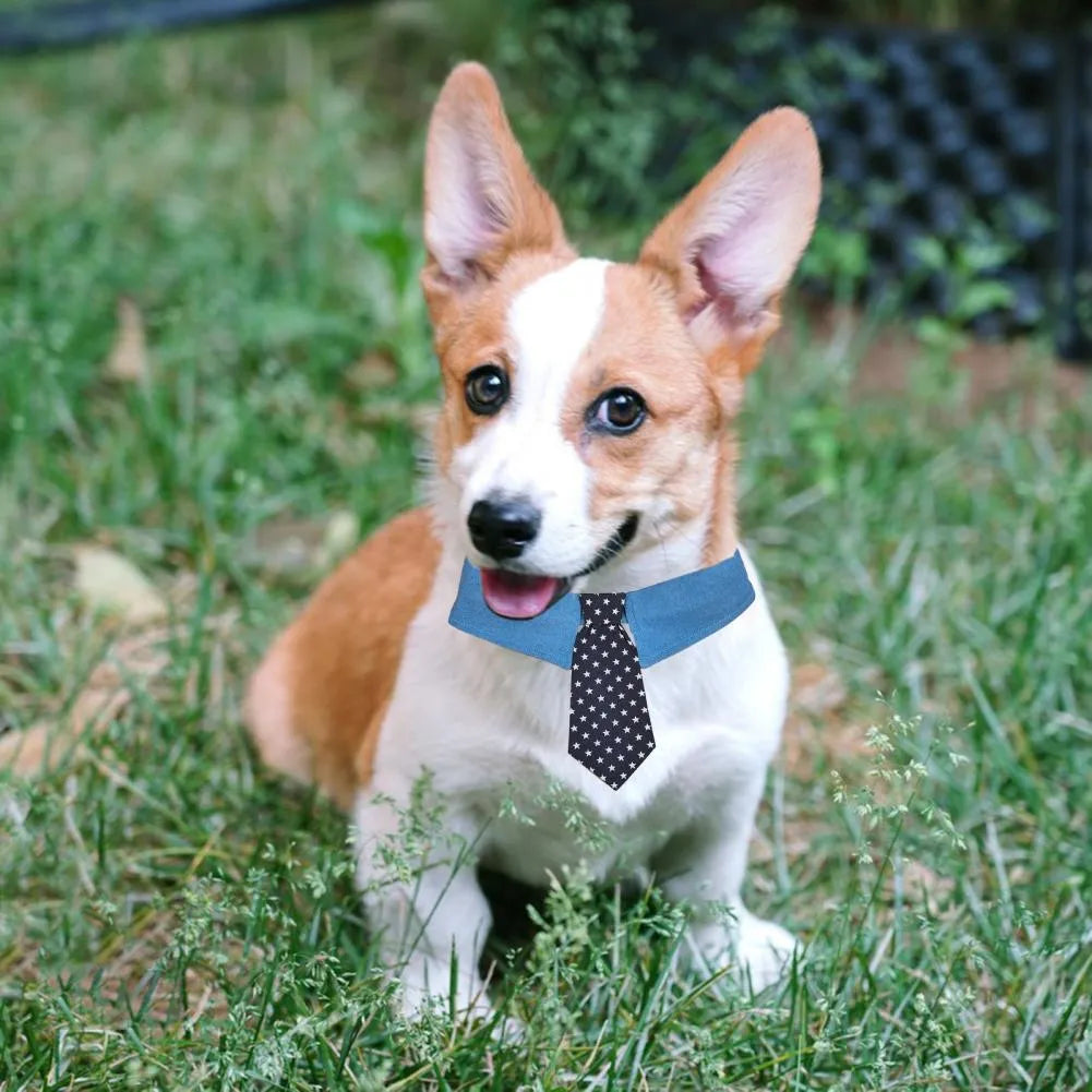 Adjustable denim pet collar with star pattern showing bow and tie styles for formal pet events