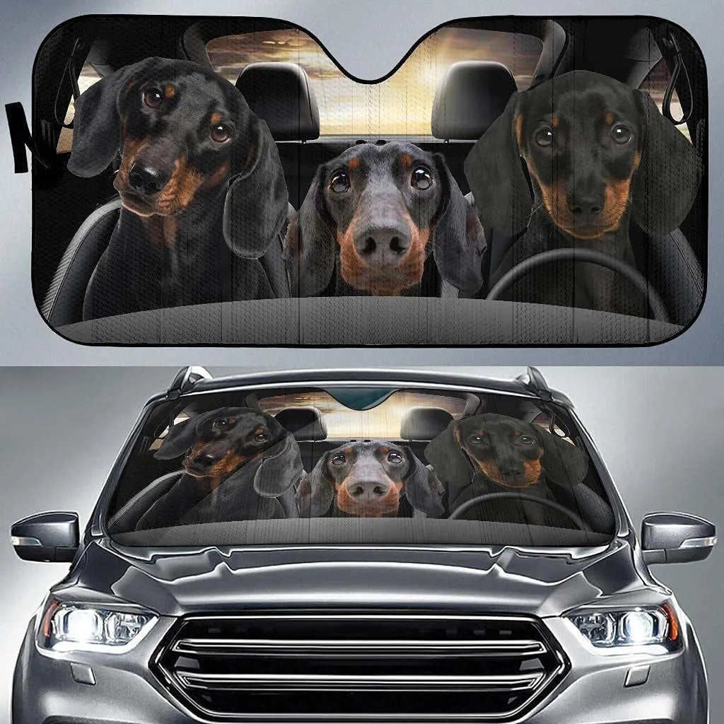 Car snow protection cover front gear with lanyard installation system for vehicle windshields