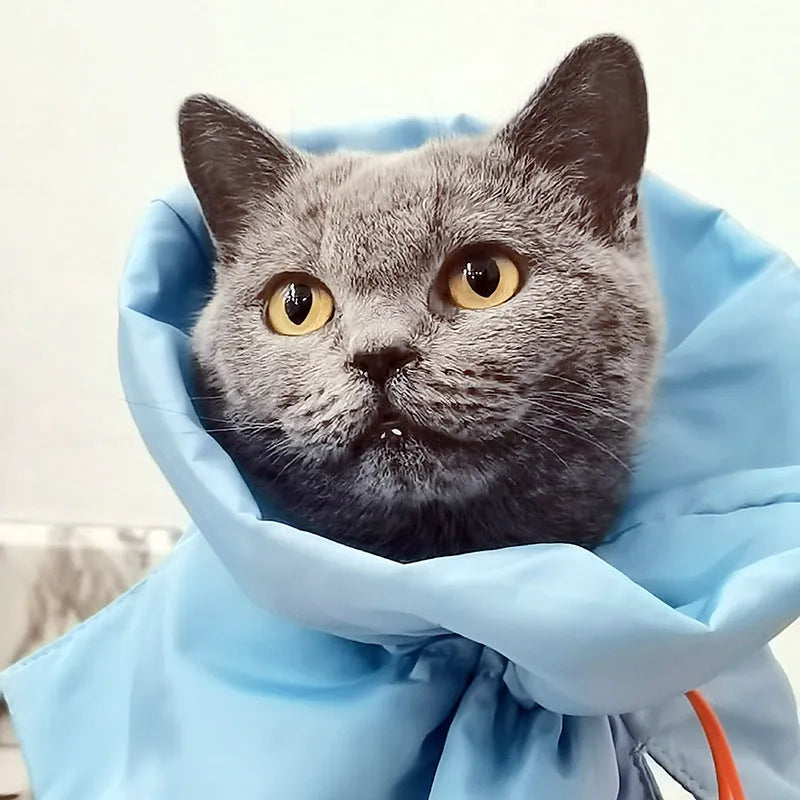 Soft adjustable Elizabethan recovery collar for a cat or small dog in blue, grey, green, or pink.