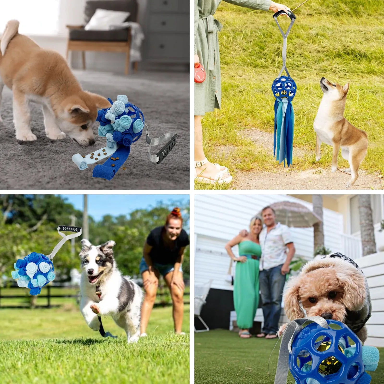 Colourful hollow TPR ball pet toy with a bell inside for dogs and cats.