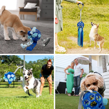 Colourful hollow TPR ball pet toy with a bell inside for dogs and cats.