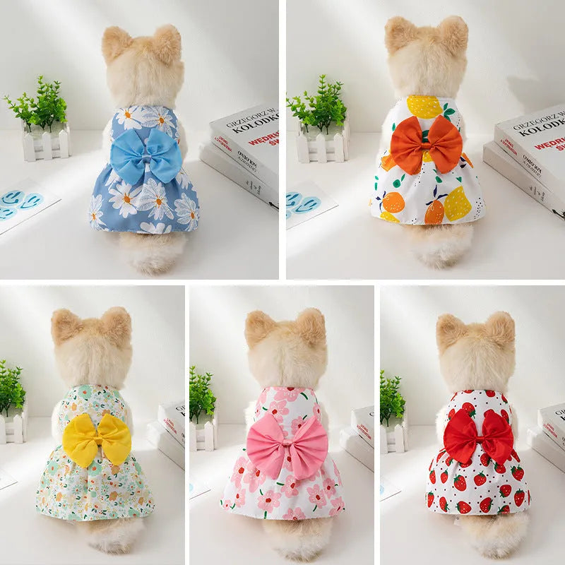 An orange floral butterfly knot princess dress for a small dog on a summer day.