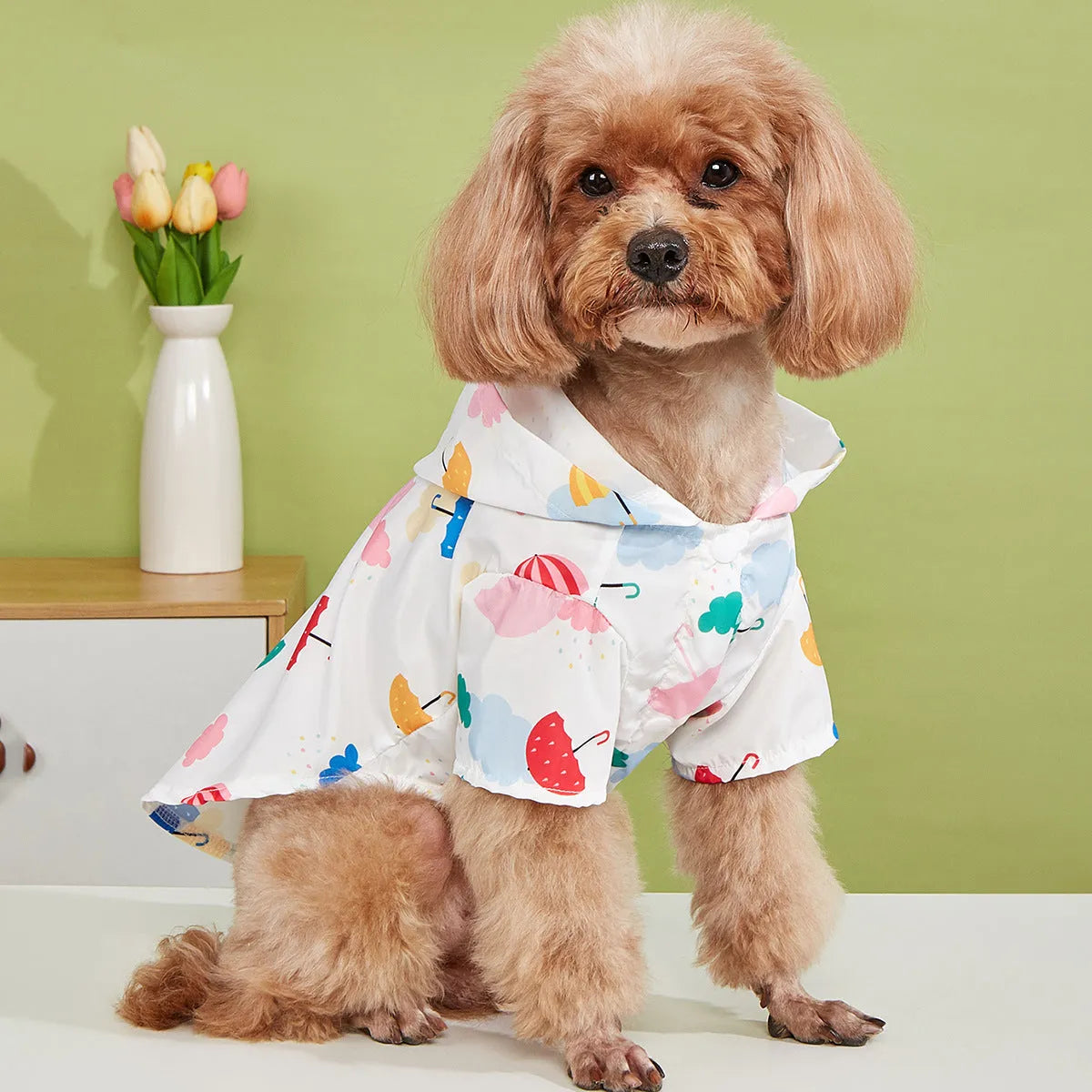 Cartoon umbrella pattern dog raincoat with adjustable straps in blue colour