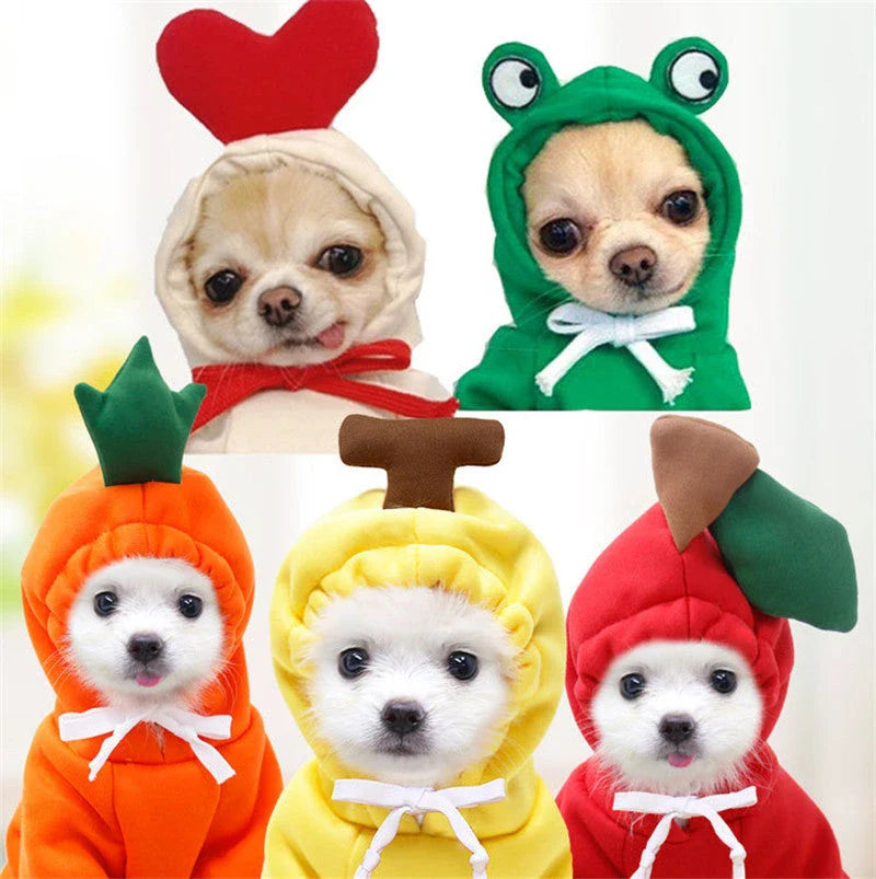 Cozy, fruit-themed dog hoodies in various sizes and styles to keep small pups warm and stylish during the winter season
