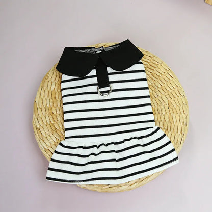 Pet wearing striped skirt and matching T-shirt summer outfit in casual cotton clothing