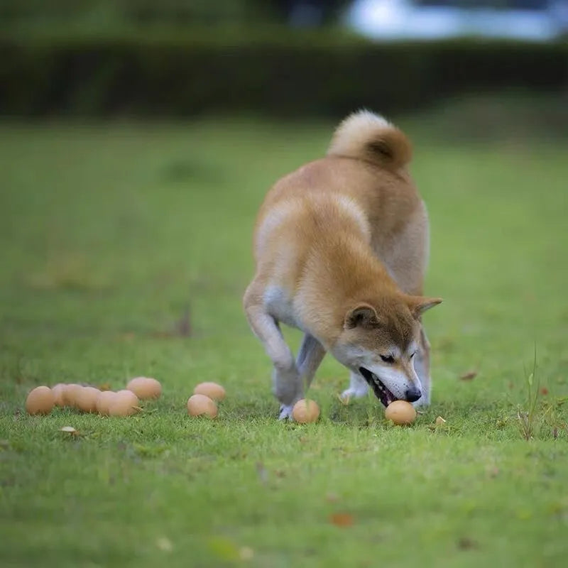 Durable rubber dog chew toy shaped like an egg with sound simulation for puppy teeth cleaning
