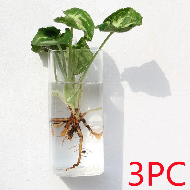 Wall-mounted glass flower vase and terrarium with various design options for customization and decoration