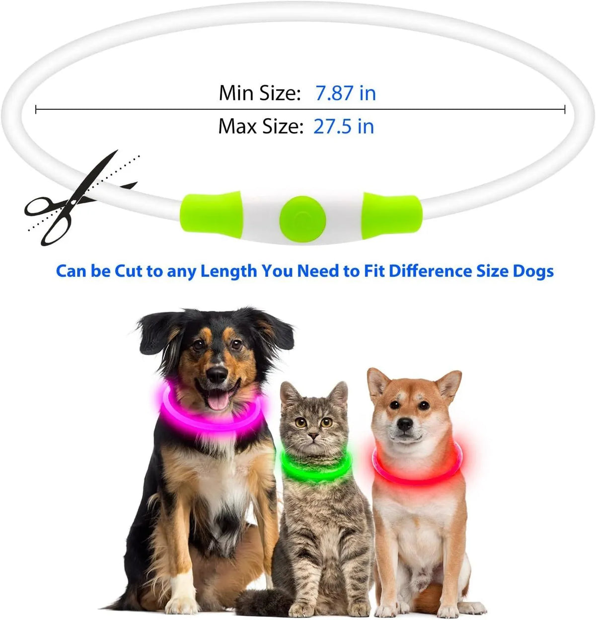 Blue USB rechargeable LED dog collar with glow lights, adjustable 70cm length for pet safety.