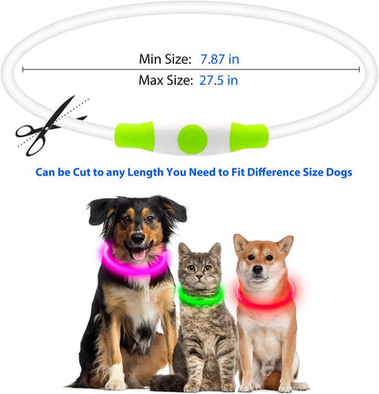 Blue USB rechargeable LED dog collar with glow lights, adjustable 70cm length for pet safety.