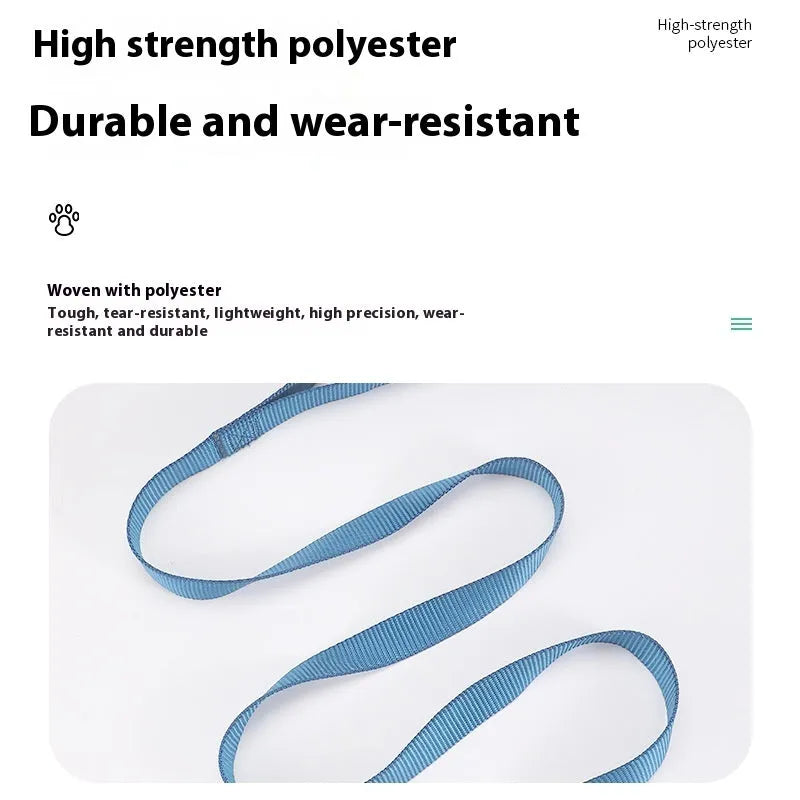 Solid colour polyester dog leash rope in hand, showing various width and colour options.
