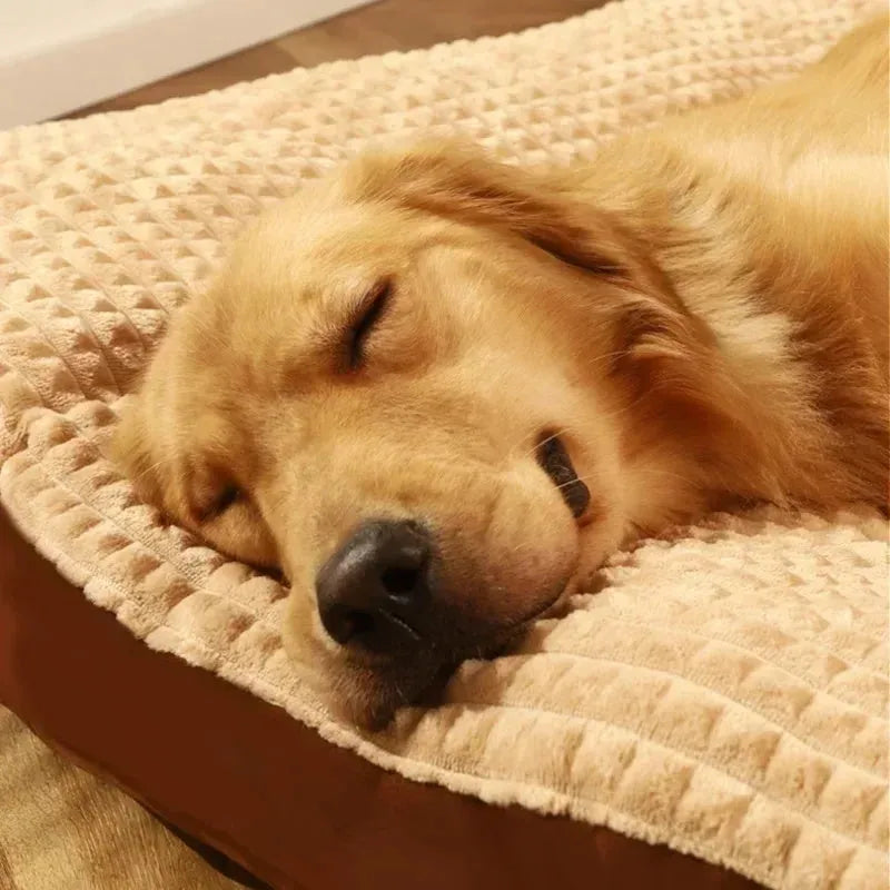 Soft fleece dog bed with a detachable mat cushion in green colour for a large dog