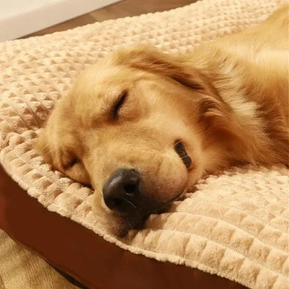 Soft fleece dog bed with a detachable mat cushion in green colour for a large dog