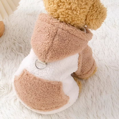 Brown hooded cotton-padded dog coat on a small dog, showing the thickened material and attached hood.