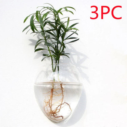 Wall-mounted glass flower vase and terrarium with various design options for customization and decoration