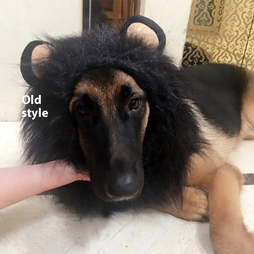 Dog wearing a lion mane headdress costume in light brown with an elastic neckband.