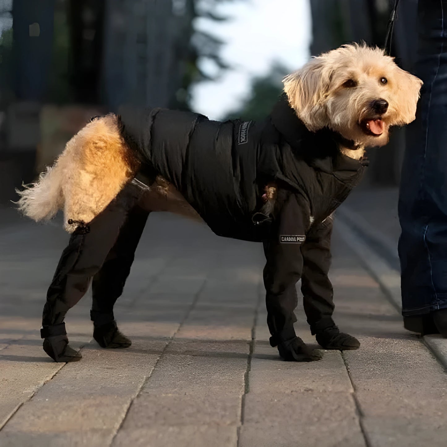 Black waterproof non-slip dog shoes for outdoor paw protection in six size options
