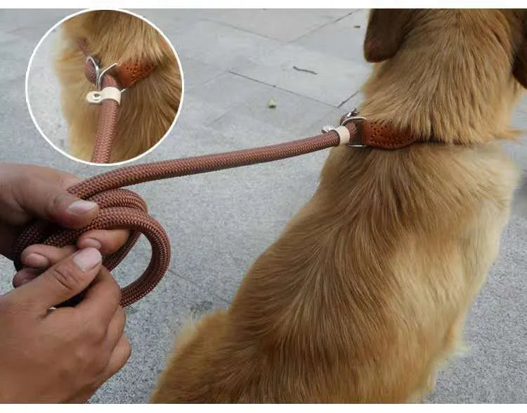 Brown nylon P chain dog leash hand holding rope showing 2.1 metre length