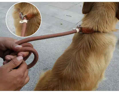 Brown nylon P chain dog leash hand holding rope showing 2.1 metre length