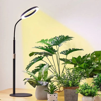 6-inch Angel Ring retractable floor plant grow light with aluminium alloy shell and adjustable stand