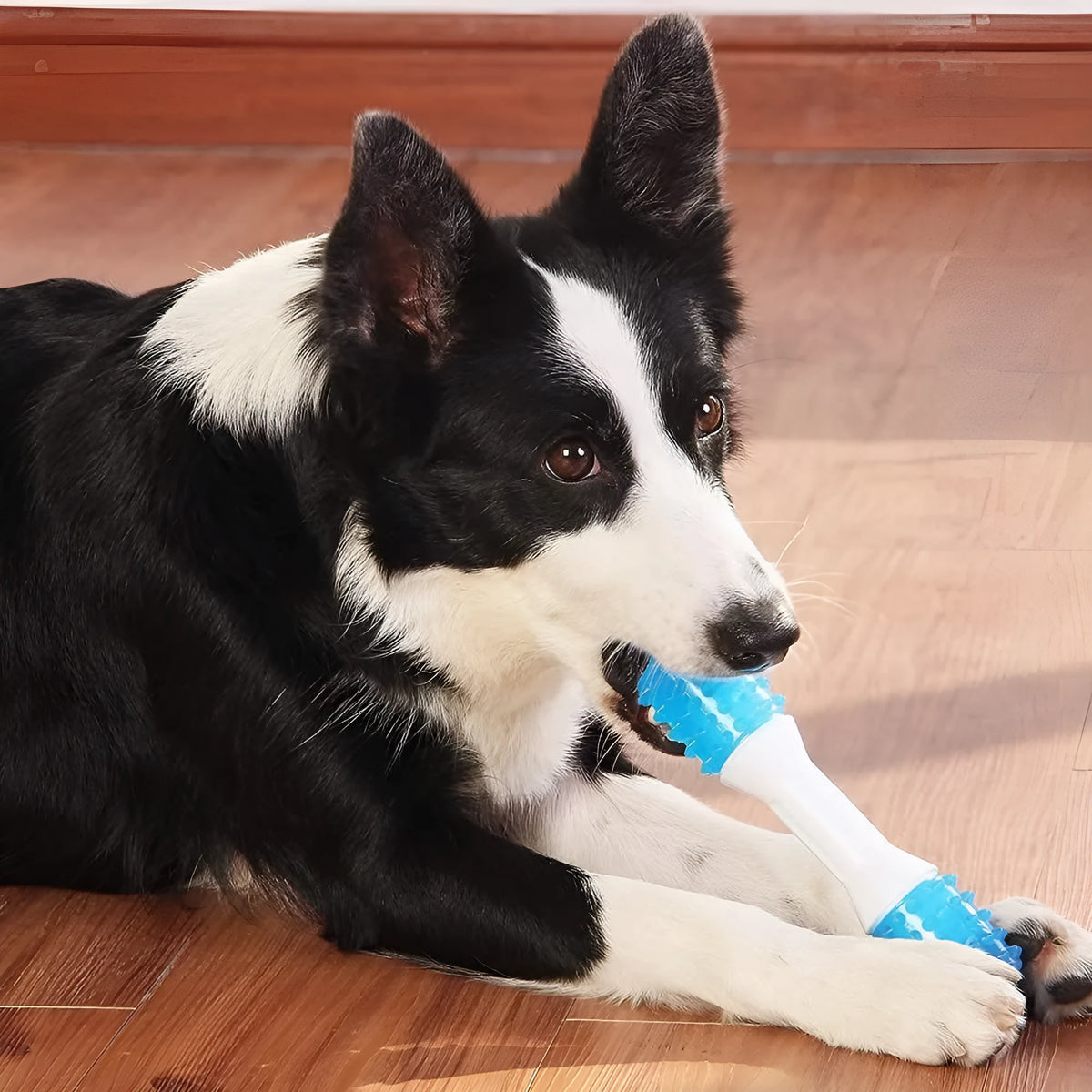 Dual-colour puppy teething chew toy with two hardness levels of PU material for dental health