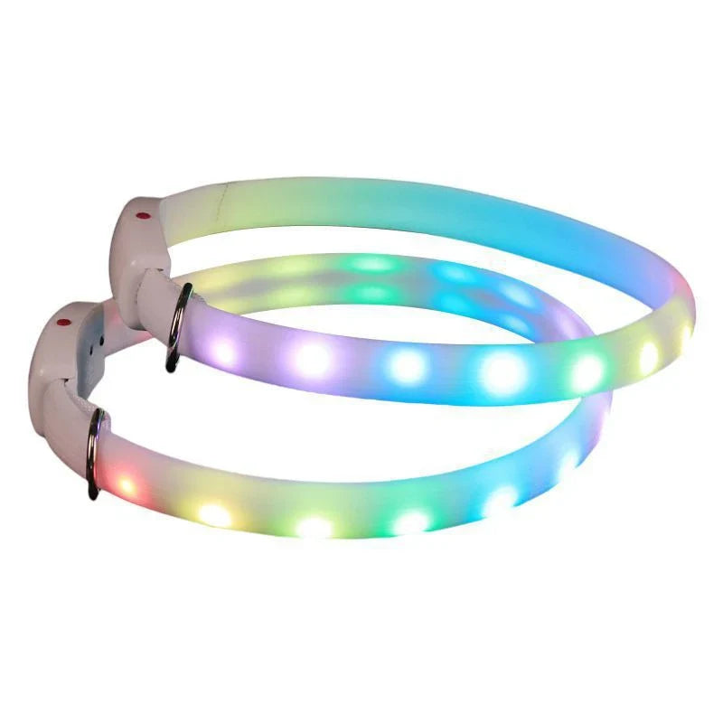Bright LED pet collar with adjustable design for safe nighttime dog walking