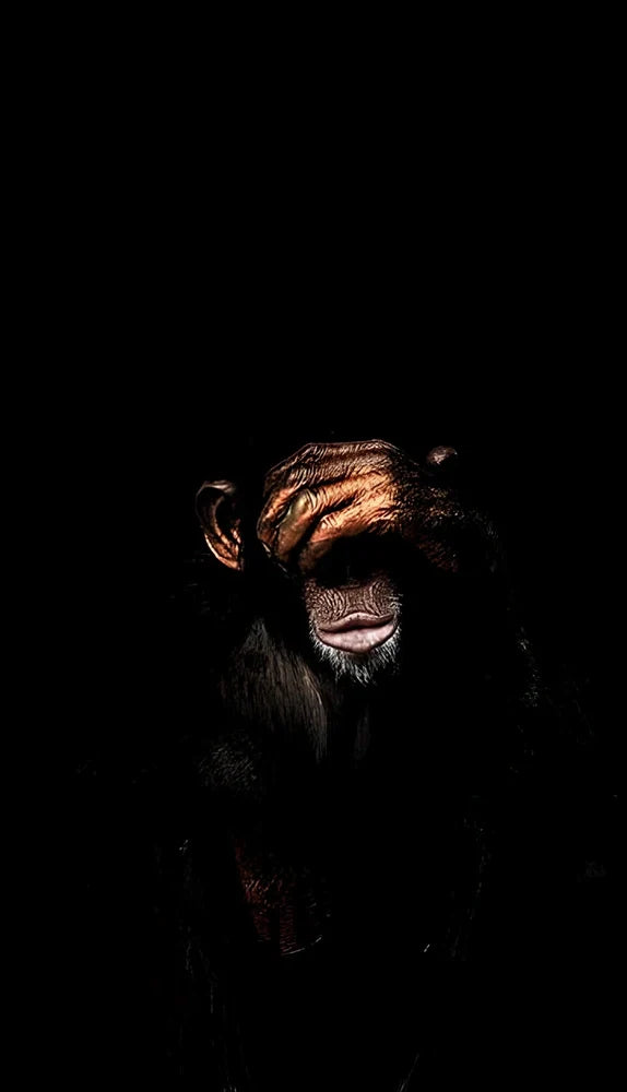 Abstract monkey design spray painted on frameless canvas wall art in modern style