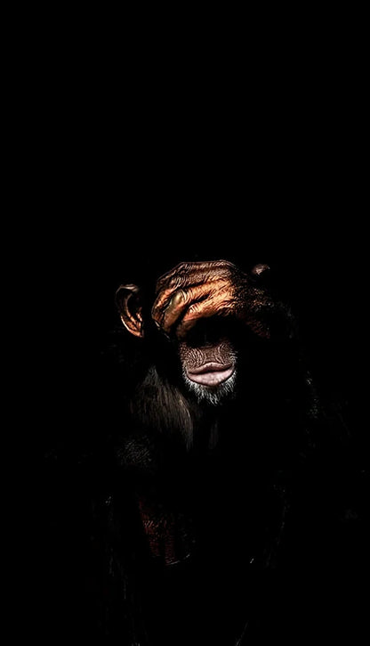 Abstract monkey design spray painted on frameless canvas wall art in modern style