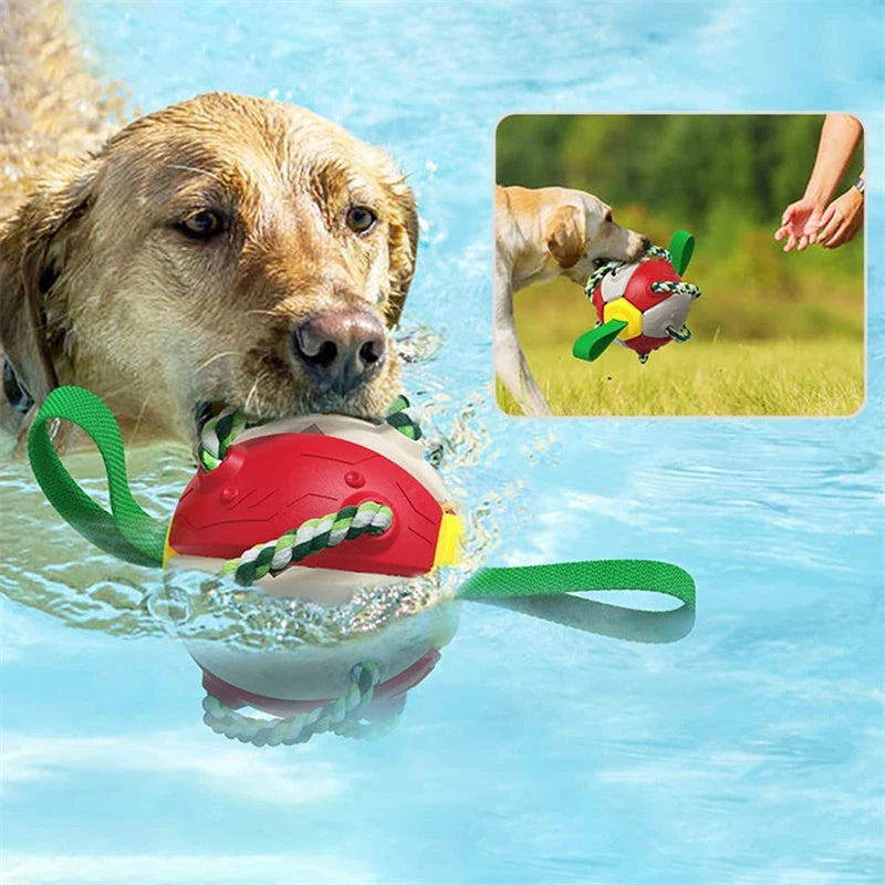 Versatile Frisbee-style dog toy with a unique shape-shifting design that transforms from a sphere to a flat Frisbee mid-flight, providing endless entertainment and exercise for your furry friend.