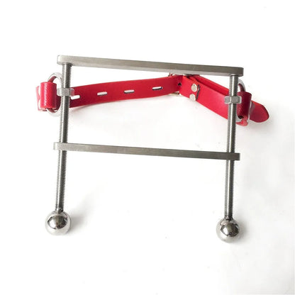 Stainless steel adult gag toy shown in black, pink, or red specification for role play use