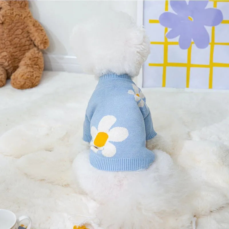 Blue and checkerboard patterned dog coats for small breeds on a white background.