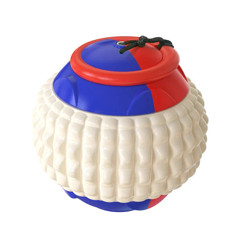 Interactive dog toy with retractable throwing ball, textured dental chew surface, and durable ABS construction