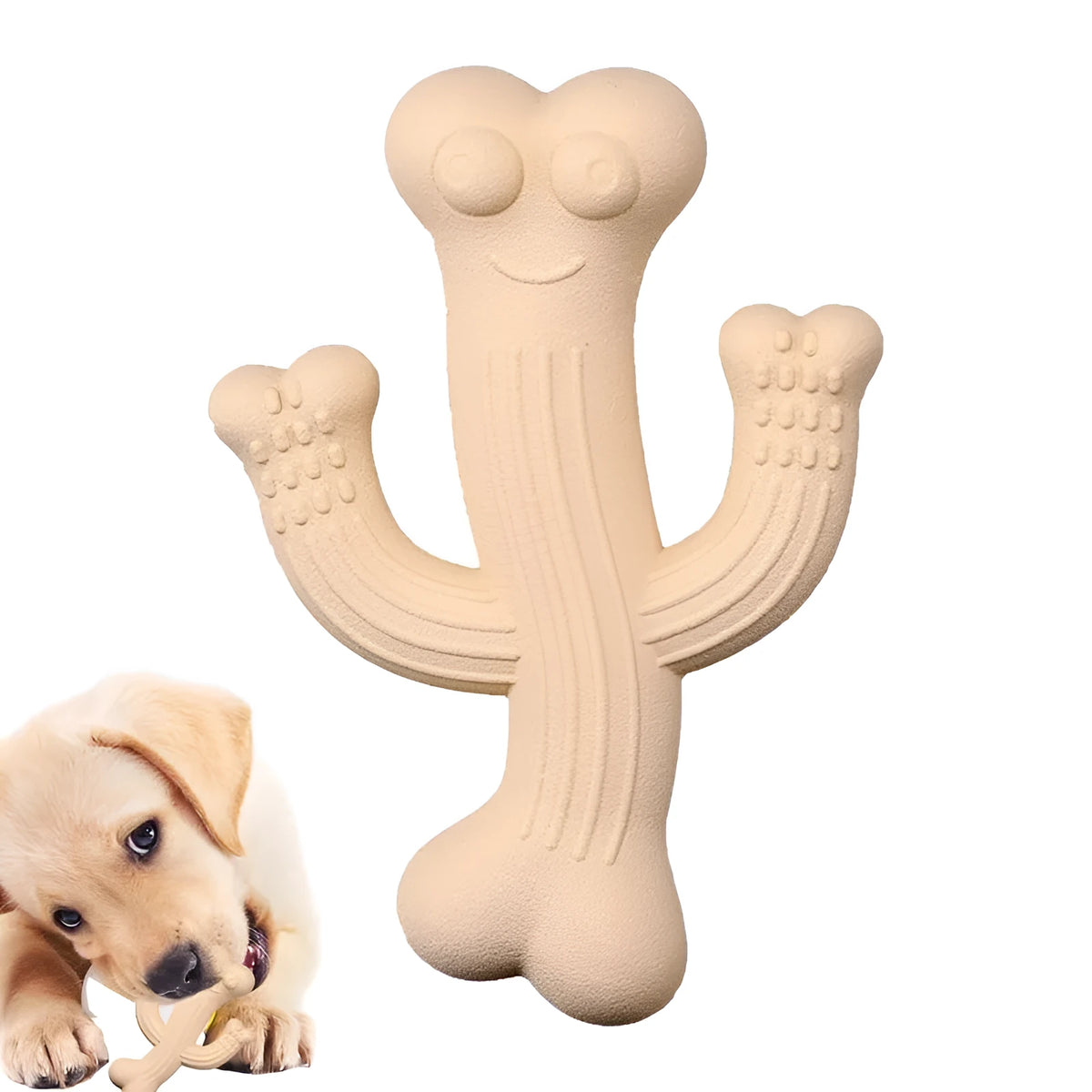 Beige, blue or purple cactus-shaped dog chew toy made from bamboo fibre and rubber on a white background.