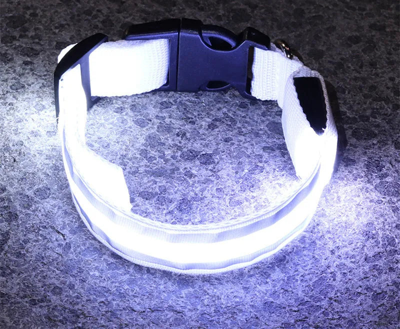 LED luminous dog collar with nylon webbing in multiple colour options showing illumination