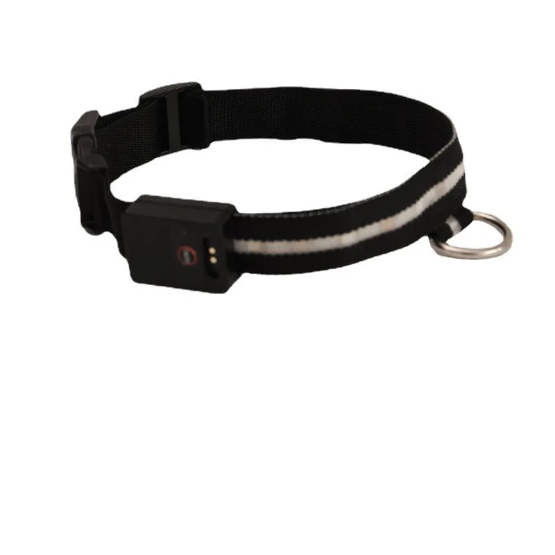 Black LED luminous dog collar and leash set for night-time walking safety