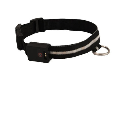 Black LED luminous dog collar and leash set for night-time walking safety