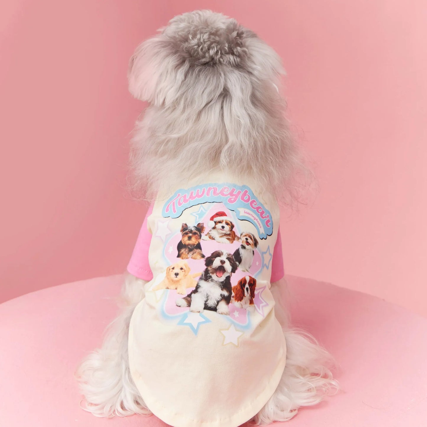 Red cotton dog summer clothes with contrast embroidery, laid flat showing size label.