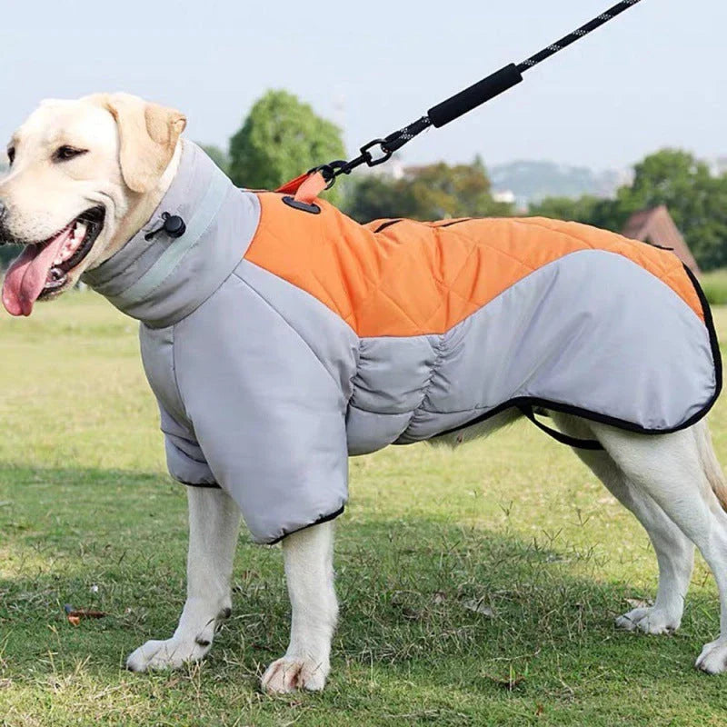 Waterproof winter dog coat in various colors and sizes for medium to large dogs