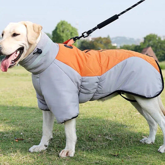 Waterproof winter dog coat in various colors and sizes for medium to large dogs