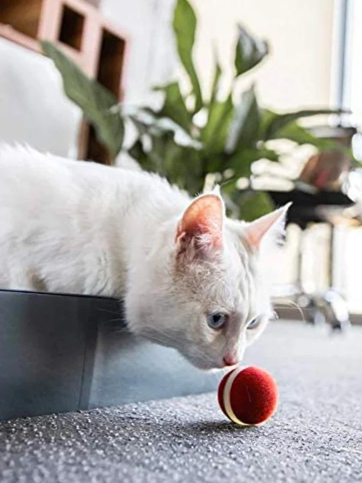 Interactive silicone cat ball with USB charger for indoor feline play and exercise