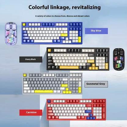 Mechanical keyboard and wireless mouse set in a chosen colour like beige gray or sky blue on a desk.