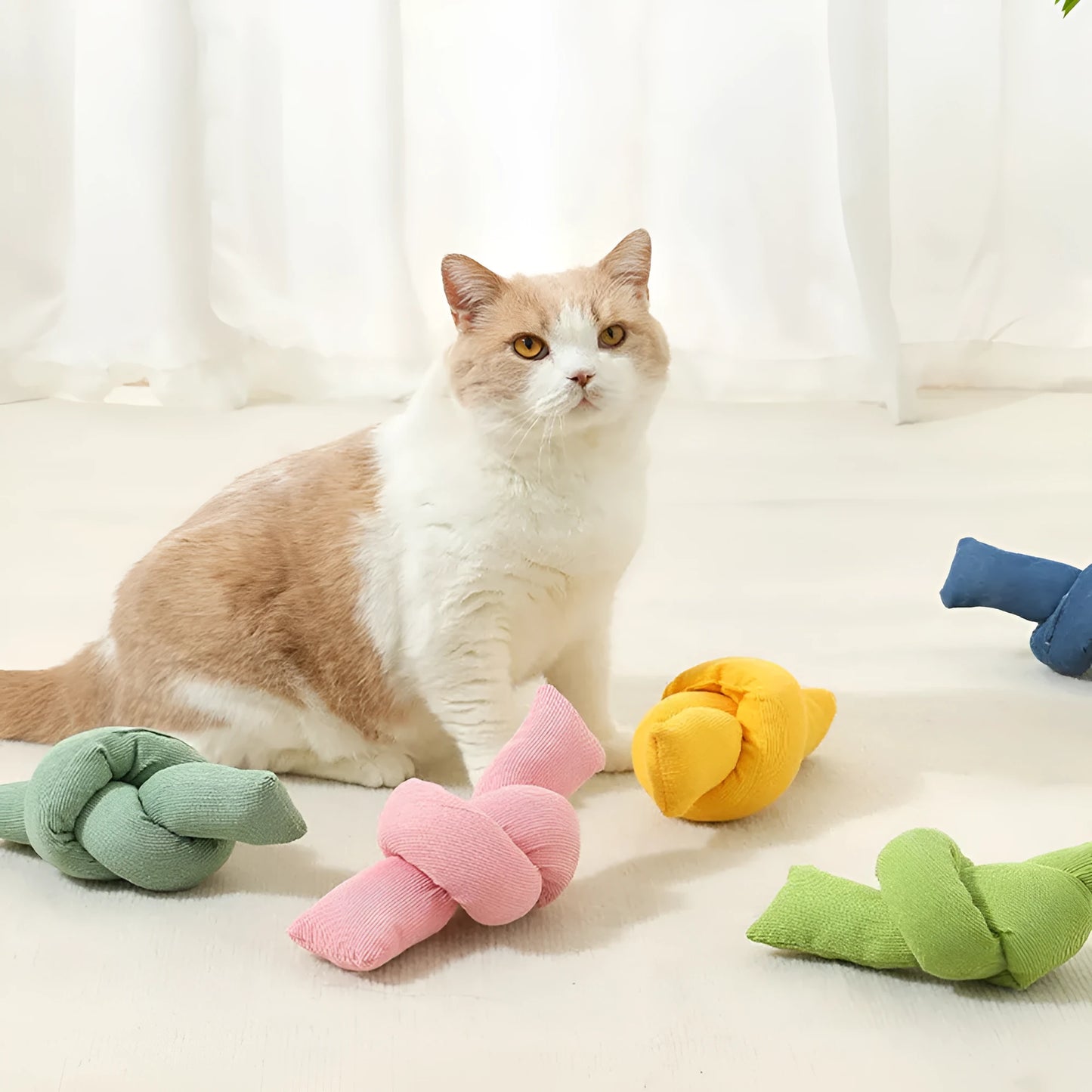 White knotted cotton rope bone dog toy for tug of war and chewing
