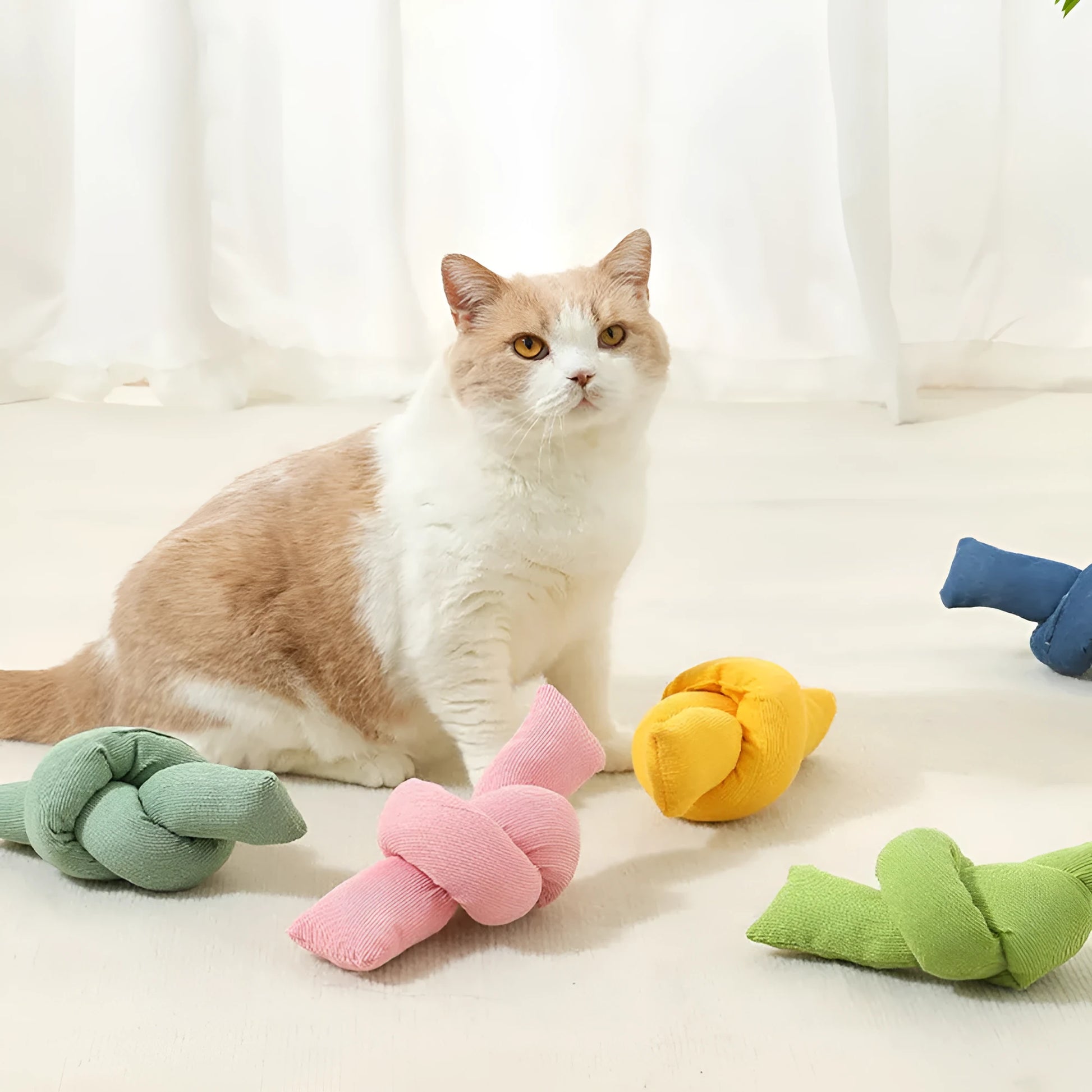 White knotted cotton rope bone dog toy for tug of war and chewing