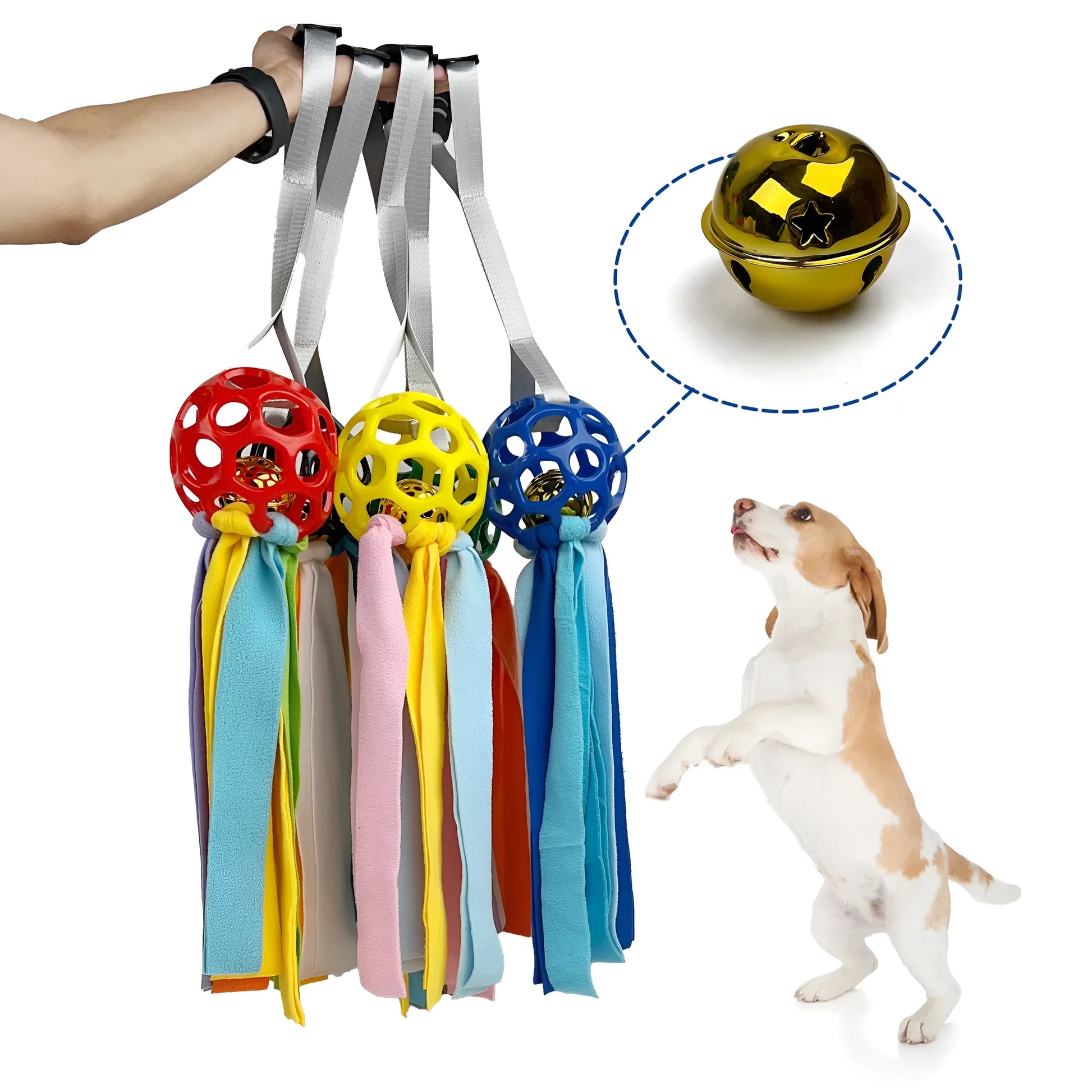 Colourful hollow TPR ball pet toy with a bell inside for dogs and cats.