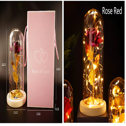 Little Prince Rose Glass Cover with 20cm diameter dome protecting plastic flower arrangement