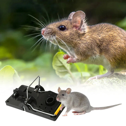 Reusable mouse traps with powerful spring mechanism for effective, humane rodent control in the home