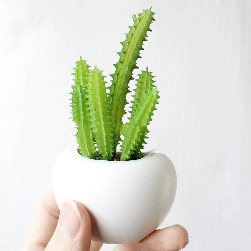 Realistic-looking succulent fridge magnets in various styles, designed to add natural charm and low-maintenance decor to any kitchen or home