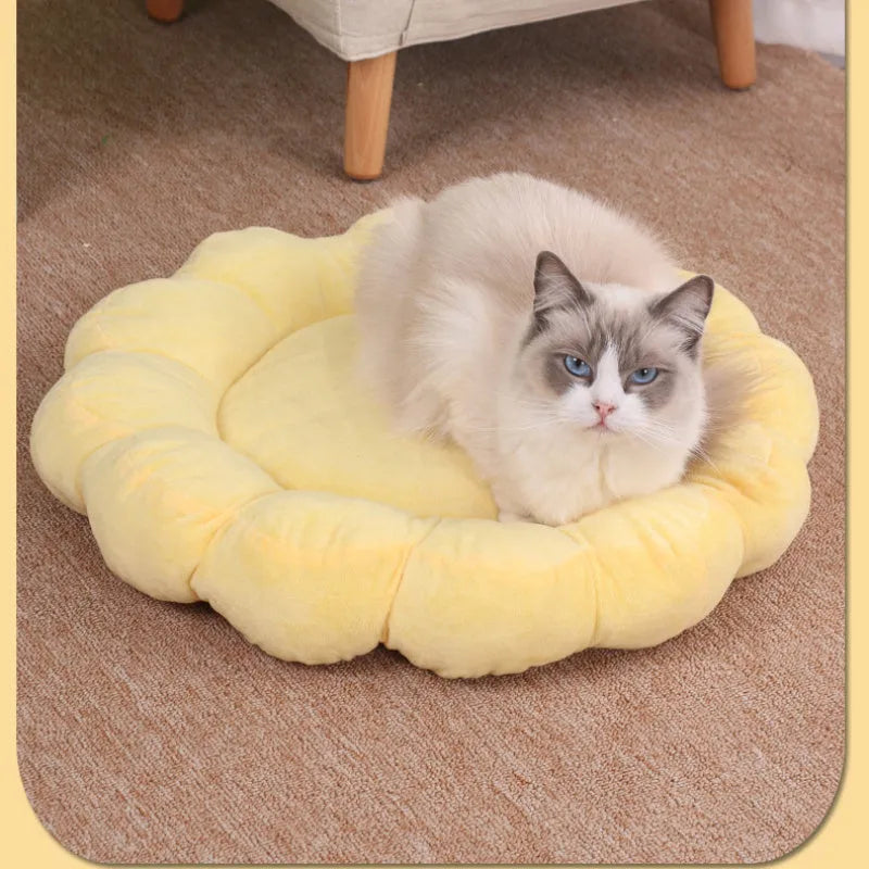 Blue, grey, pink, and yellow 50cm square plush pet bed with half-surrounded petal design.