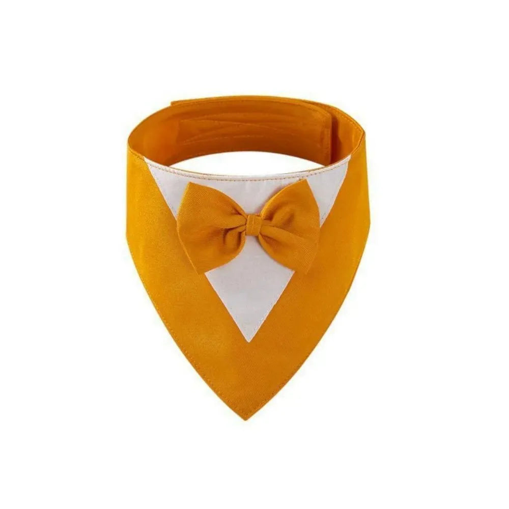 Triangular pet bib with bow detail in assorted colours, shown on a dog as a scarf and drool towel.