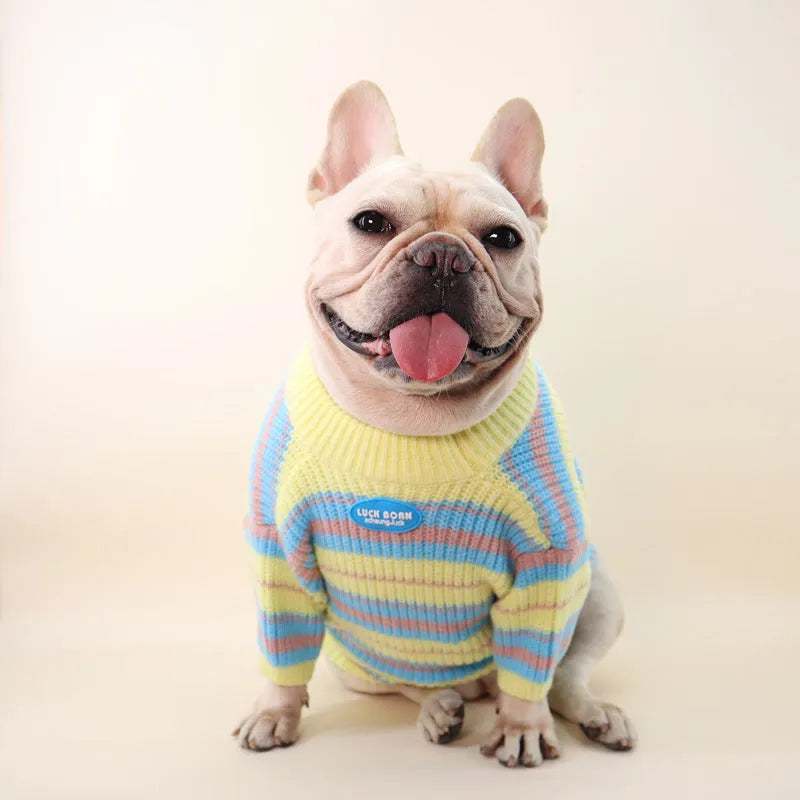 Small dog sweater for autumn and winter with wool-blend casual style in blue and yellow stripes, fits Xi Shi, Bichon, Maltese and other small breeds with XS to XXL sizing options for comfortable cold weather wear