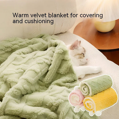 Dog blanket in four sizes from 36x50cm to 78x100cm for pets 10kg to 65kg with cloth material
